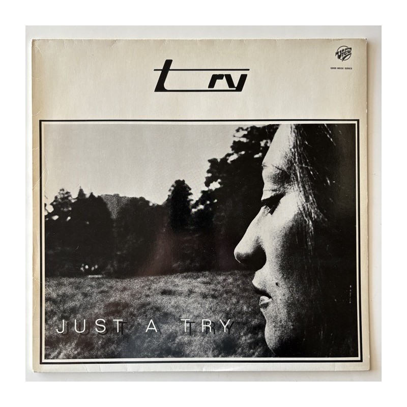 Try - Just a Try VGNS 2004