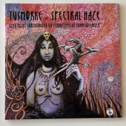 Tusmorke vs Spectral Haze - Elektriske Skrekkøgler Og Forhistoriske Framtidsfabler DUPLO