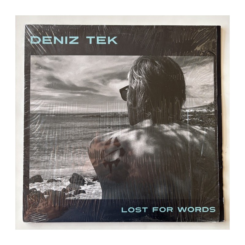 Deniz Tek - Lost for Words WH-044