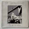 The Monuments - It’s up to you WAL-001