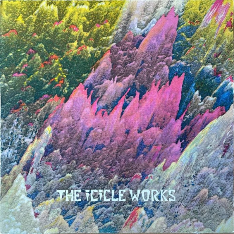 The Icicle Works - Birds Fly (Whisper To A Scream) 601 156-213