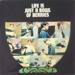 Rockin' Berries - Life is just... NPL.38022