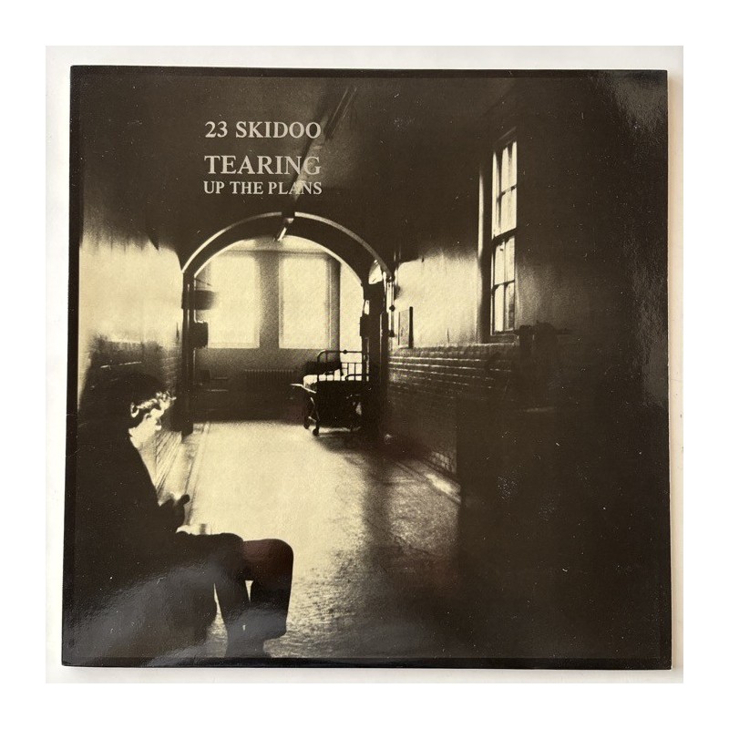 23 Skidoo - Tearing Up the Plans FP20