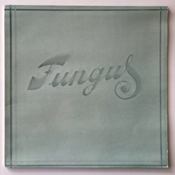 Fungus - Fungus NR 102