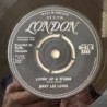 Jerry Lee Lewis - Lovin’ Up a Storm 45-HL-S 8840