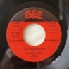 Frankie Lymon and the Teenagers - I’m not a Juvenile Delinquent GG-1026