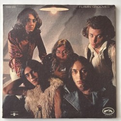 Flamin Groovies - Flamingo KSBS 2021