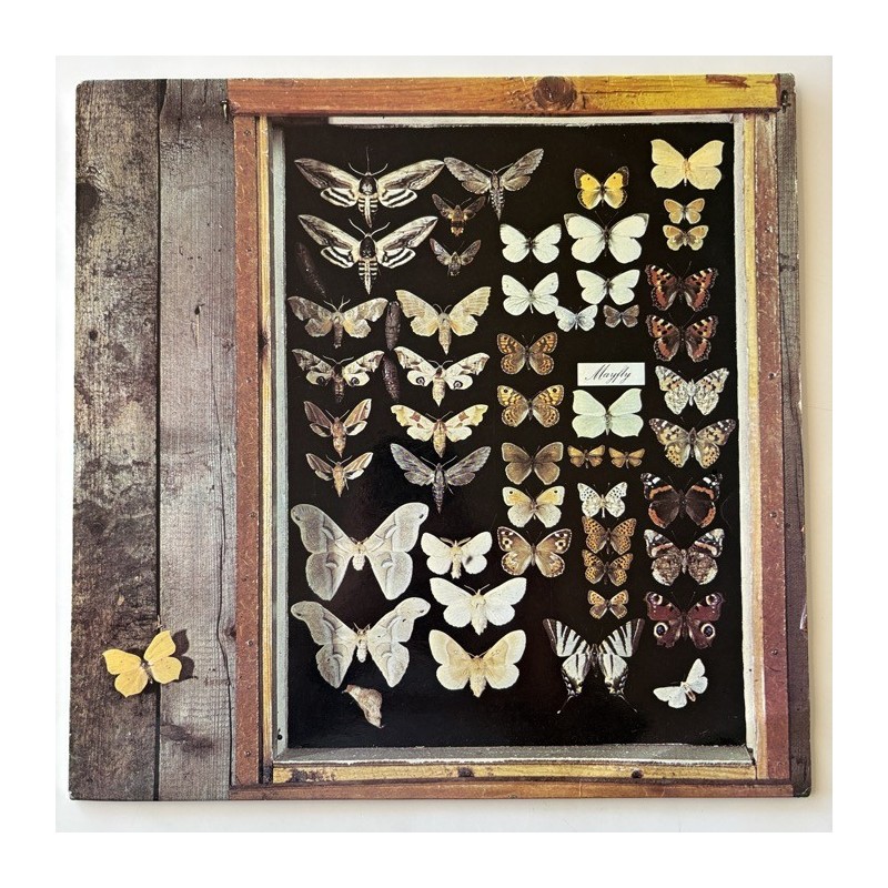 Mayfly - Mayfly 86952 IT