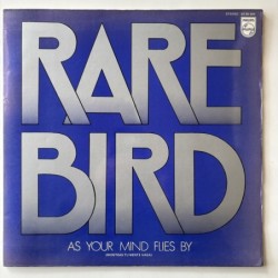 Rare Bird - Mientras tu...