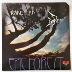 Rare Bird - Epic Forest