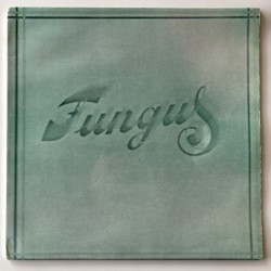Fungus - Fungus