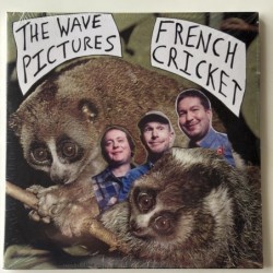 The Wave Pictures - French...