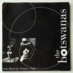 The Botswanas - Little Witch