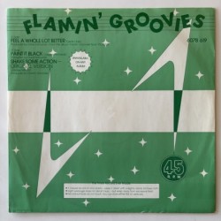 Flamin’ Groovies - Feel a whole lot better 6078 619
