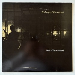 Birdsongs of the Mesozoic - Beat of the Mesozoic AHS 1018