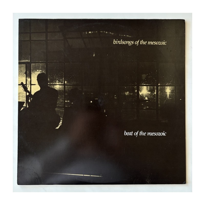 Birdsongs of the Mesozoic - Beat of the Mesozoic AHS 1018