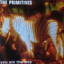 Primitives - You Are The Way PT 44482