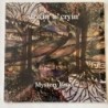 Drivin’ n’ Cryin’ - Mystery Road 91226-1