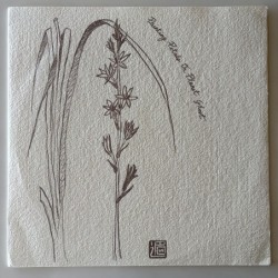 Painting Petals on Planet Ghost - Painting Petals on Planet Ghost 030