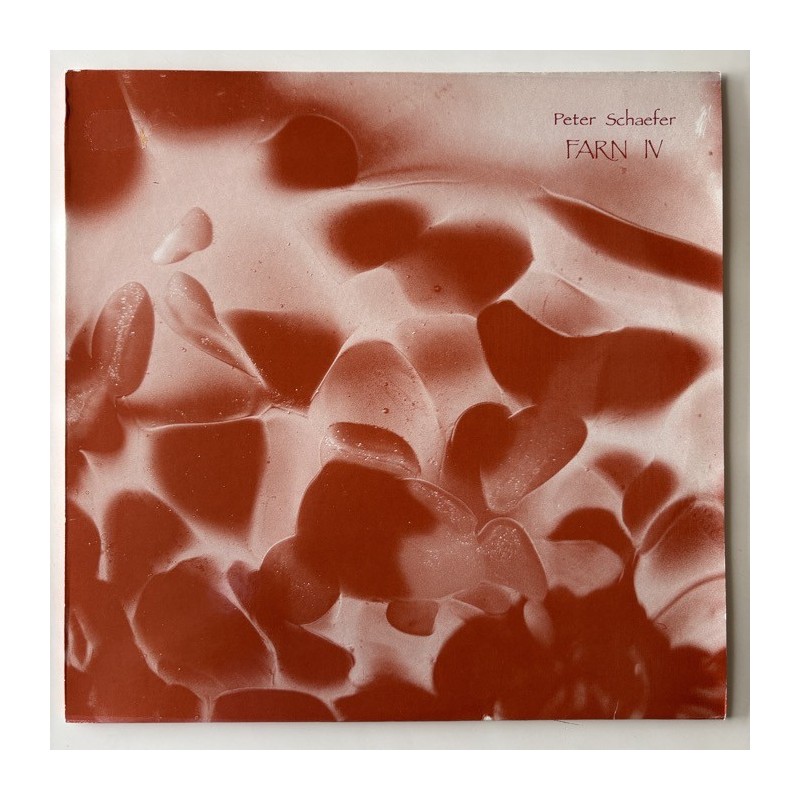 Peter Schaefer - FARN IV FP 18004