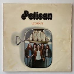 Pelican - Uppteknir ÁÁ 018