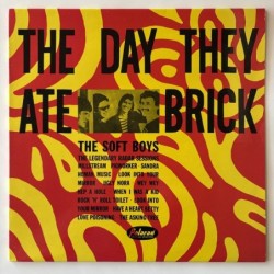 Soft Boys - The Day they ate Brick 121 045