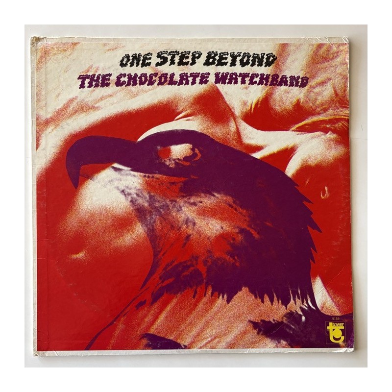 Chocolate Watch Band - One Step Beyond 5153