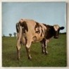 Pink Floyd - Atom Heart Mother SHVL 781