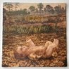 Pau Riba / OM - Dioptria 1 5.713-SUL