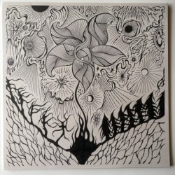Jordsjø - Nattfiolen PLP 2036