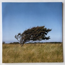 Bjørn Riis - A Fleeting Glimpse KAR240LP