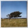 Bjørn Riis - A Fleeting Glimpse KAR240LP