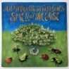 The Smell of Incense - All Mimsy were the Borogoves COSLP 018
