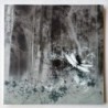 Will-O-The Wisp  - A Gift for your Dreams SER 011